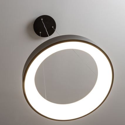 Brilagi - Dimmbare LED-Hängeleuchte mit Seilaufhängung FALCON LED/80W/230V 3000-6500K Ø 60 cm schwarz + Fernbedienung