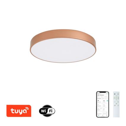 Brilagi - Dimmbares LED-Deckenlicht POOL SMART LED/60W/230V 3000–6000K Ø 50 cm Wi-Fi Tuya bronzefarben + Fernbedienung