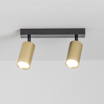 Brilagi - LED-dimmbare Spotleuchte SELE GOLDEN 2xGU10/6,5W/230V 2700-6500K schwarz/gold