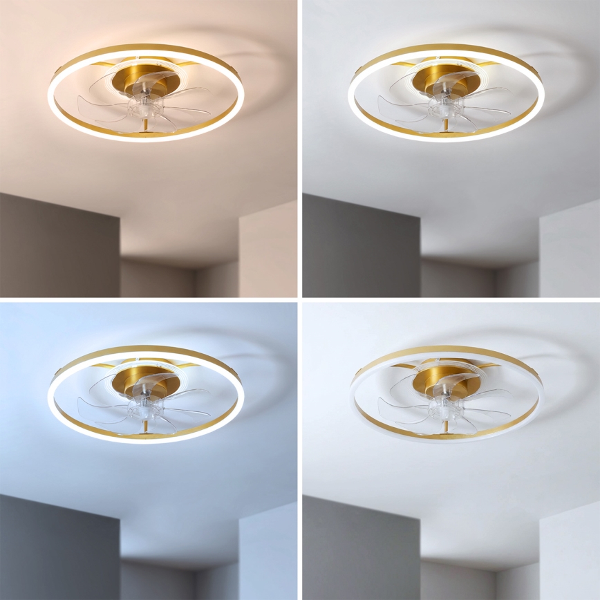 Brilagi - LED dimmbarer Deckenventilator LED/66W/230V 3000-6500K Durchmesser 55 cm weiß/gold + Fernbedienung