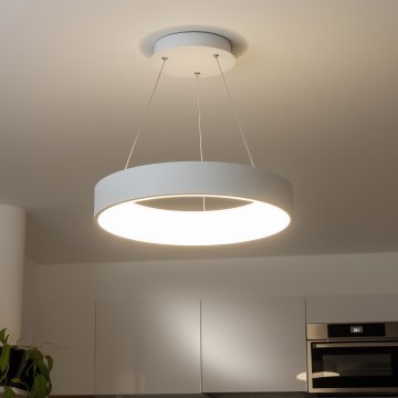 Brilagi - LED dimmbarer Kronleuchter an Seil FALCON LED/80W/230V 3000-6500K Ø 60 cm weiß + Fernbedienung