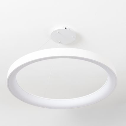 Brilagi - Dimmbare LED-Hängeleuchte mit Seilabhängung FALCON II LED/108W/230V 3000-6500K Ø 80 cm weiß + Fernbedienung