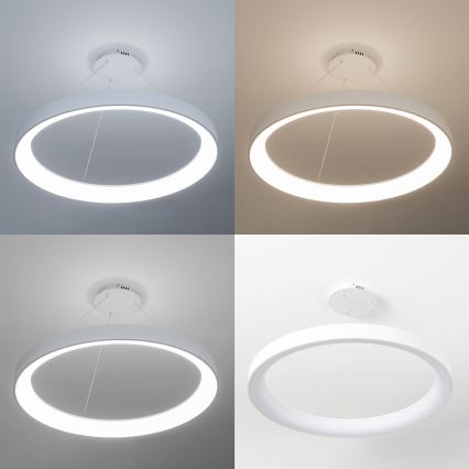 Brilagi - Dimmbare LED-Hängeleuchte mit Seilabhängung FALCON II LED/108W/230V 3000-6500K Ø 80 cm weiß + Fernbedienung