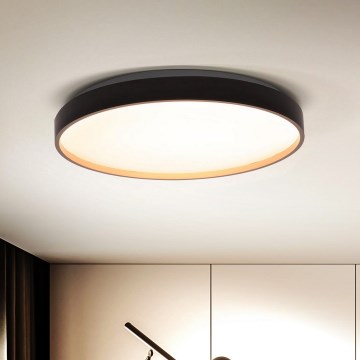 Brilagi - LED dimmbares Deckenleuchte CALA LED/48W/230V 3000-6500K Ø 38 cm + Fernbedienung