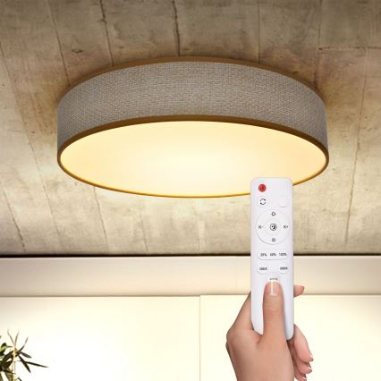 Brilagi - LED dimmbare Deckenleuchte CARMEN LED/48W/230V 3000-6500K Ø 40 cm + Fernbedienung