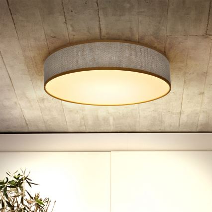 Brilagi - LED dimmbare Deckenleuchte CARMEN LED/48W/230V 3000-6500K Ø 40 cm + Fernbedienung