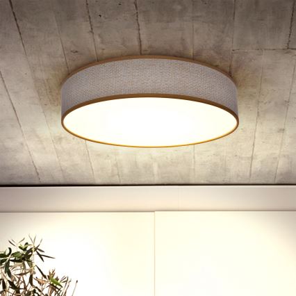 Brilagi - LED dimmbare Deckenleuchte CARMEN LED/48W/230V 3000-6500K Ø 40 cm + Fernbedienung