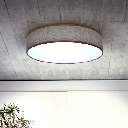 Brilagi - LED dimmbare Deckenleuchte CARMEN LED/48W/230V 3000-6500K Ø 40 cm + Fernbedienung