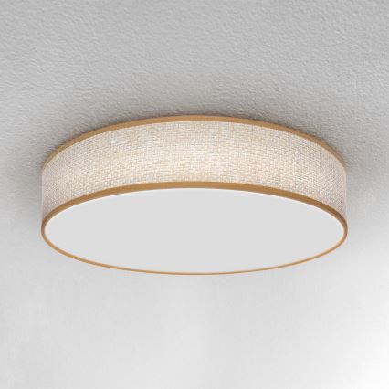 Brilagi - LED dimmbare Deckenleuchte CARMEN LED/48W/230V 3000-6500K Ø 40 cm + Fernbedienung