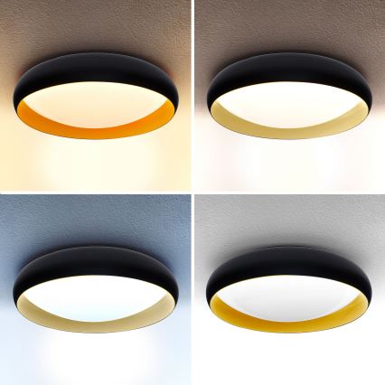 Brilagi - LED dimmbares Deckenleuchte LIVIA LED/48W/230V 3000-6500K Ø 42 cm + Fernbedienung