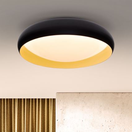 Brilagi - LED dimmbares Deckenleuchte LIVIA LED/48W/230V 3000-6500K Ø 42 cm + Fernbedienung