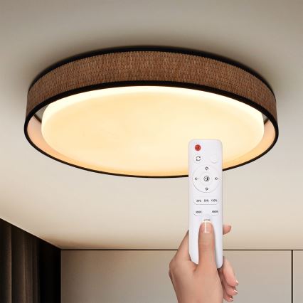 Brilagi - LED dimmbare Deckenleuchte PILAR LED/48W/230V 3000-6500K Ø 43 cm + Fernbedienung