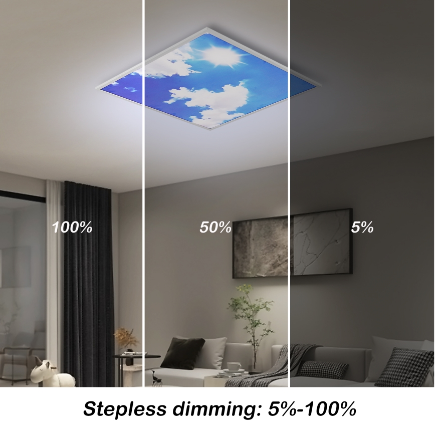 Brilagi - SLIMFRAME SKY dimmbare LED-Deckenleuchte LED/58W/230V 60x60 cm 3000-6000K silber/blau + Fernbedienung