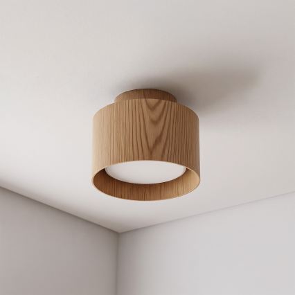 BRILAGI - LED-Einbauleuchte BACKLIT 1xGX53/15W/230V + LED/3W Ø 10 cm Eichendekor
