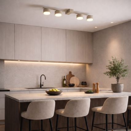 BRILAGI - LED-Einbaustrahler MONO 4xGX53/30W/230V beige