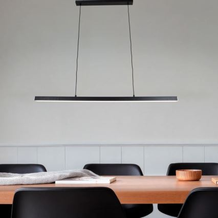 BRILAGI - LED-Hängeleuchte an Stahlseil PAXIS LED/30W/230V 120 cm schwarz