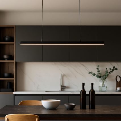 BRILAGI - LED-Hängeleuchte an Stahlseil PAXIS LED/30W/230V 120 cm schwarz