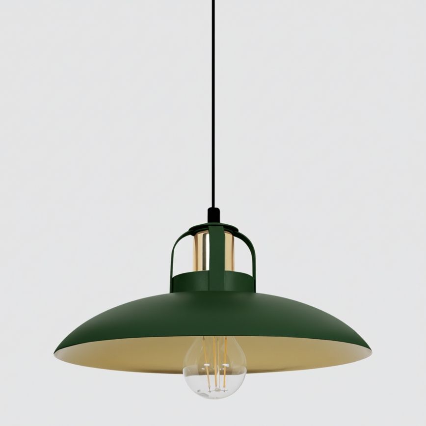 Brilagi - LED Hängeleuchte FLAMENGO 1xE27/60W/230V grün