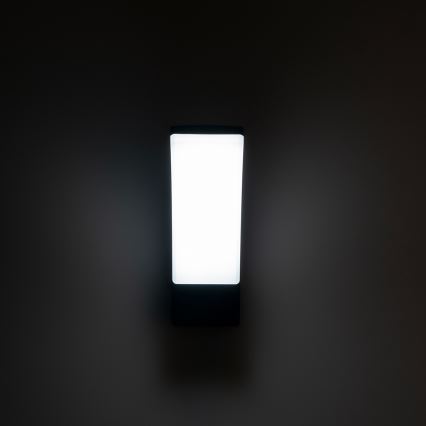 Brilagi - LED-Outdoor-Wandleuchte ARCELO LED/9W/230V IP44