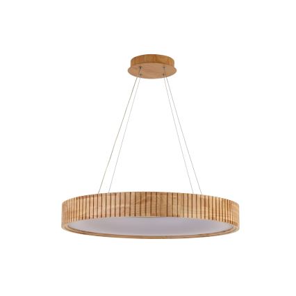 Brilagi - LED-Pendelleuchte mit Seilaufhängung FALCON WOOD MODERN LED/40W/230V 3000/4000/6000K Ø 60 cm Holz