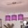 Brilagi - LED-Pendelleuchte an Kabel NUBILA 3xE27/60W/230V violett