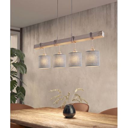 BRILAGI - LED-Pendelleuchte an Kabel NUBILA 4xE27/60W/230V grau