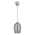 Brilagi - LED-Pendelleuchte an Kabel RETRO GLASS 1xE27/60W/230V Ø 14 cm silber/rauchgrau