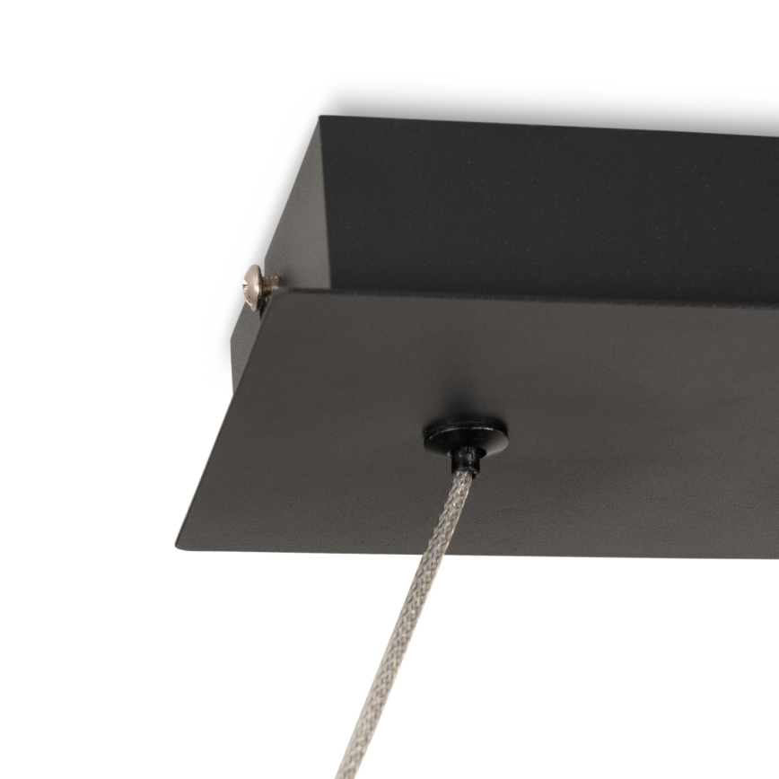 BRILAGI - LED-Pendelleuchte an Seil ECHO LED/60W/230V 4000K 100 cm schwarz