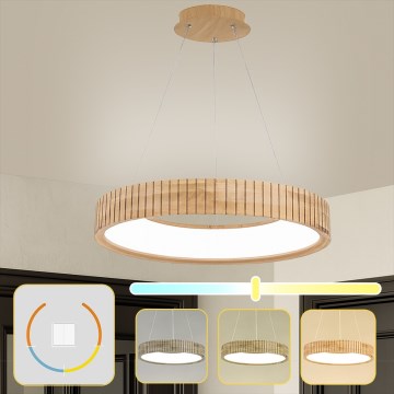 Brilagi - LED-Pendelleuchte mit Seilaufhängung FALCON WOOD MODERN LED/40W/230V 3000/4000/6000K Ø 60 cm Holz