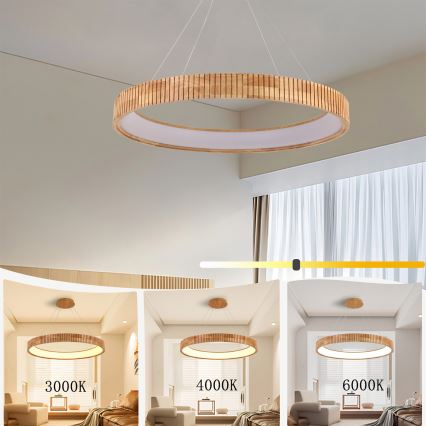 Brilagi - LED-Pendelleuchte mit Seil FALCON WOOD MODERN LED/60W/230V 3000/4000/6000K Ø 80 cm Holz