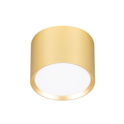Brilagi - LED RGB+CCT dimmbarer Einbaustrahler SMOOTH 1xGX53/14W/230V 2700-6500K Wi-Fi Tuya gold