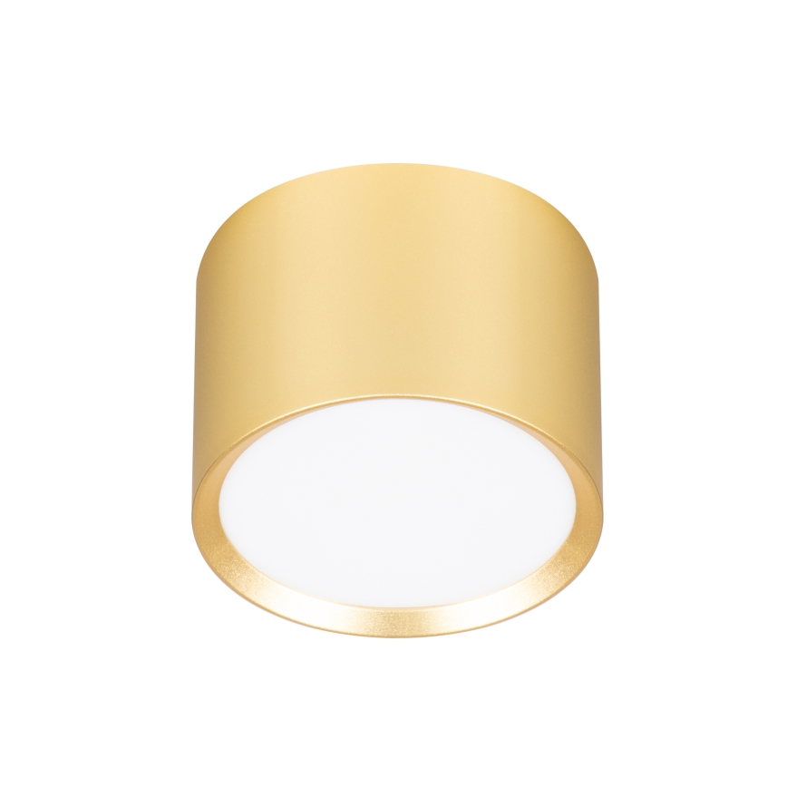Brilagi - LED RGB+CCT dimmbarer Einbaustrahler SMOOTH 1xGX53/14W/230V 2700-6500K Wi-Fi Tuya gold