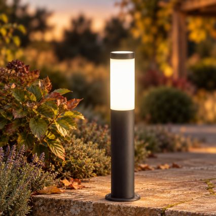 BRILAGI - LED RGBW dimmbare Außenleuchte ELIA 1xE27/6,5W/230V 2700-6500K IP44 Wi-Fi 50 cm Anthrazit