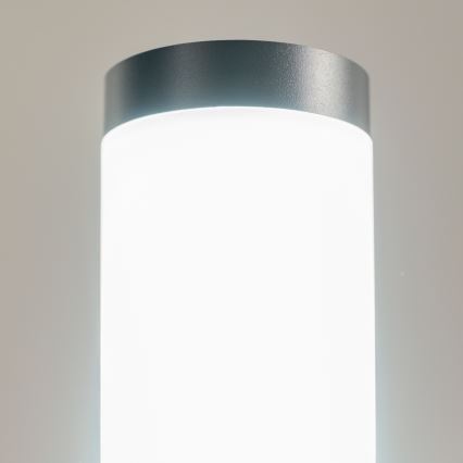 BRILAGI - LED RGBW dimmbare Außenleuchte mit Steckdose ELIA 1xE27/6,5W/230V 2700-6500K IP44 Wi-Fi 50 cm Anthrazit