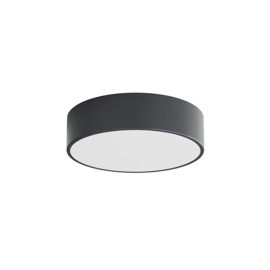 BRILAGI - LED RGBW dimmbare Badezimmer-Deckenleuchte CLARE 2xE27/12W/230V Ø 30 cm Anthrazit IP54