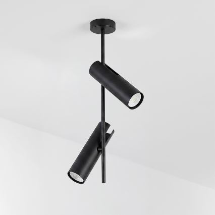 Brilagi - LED RGBW dimmbare Deckenleuchte mit Stange BRANCH 2xGU10/6,5W/230V 2700–6500K schwarz