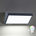 BRILAGI - LED RGBW dimmbares Außen-Wandleuchte TRIANGLE 1xE27/12W/230V 2700-6500K IP65 Anthrazit