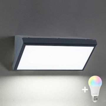 BRILAGI - LED RGBW dimmbares Außen-Wandleuchte TRIANGLE 1xE27/12W/230V 2700-6500K IP65 Anthrazit