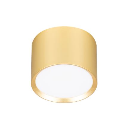 BRILAGI - LED Spotleuchte SMOOTH 1xGX53/15W/230V 60x82 mm gold