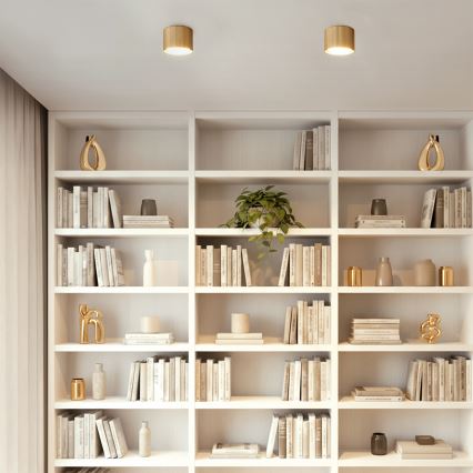 BRILAGI - LED Spotleuchte STRIPY 1xGX53/15W/230V 60x82 mm goldfarben