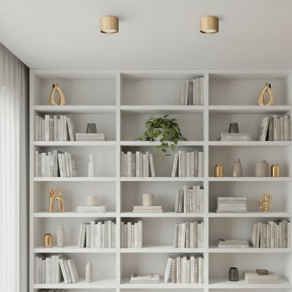 Brilagi - LED Spotleuchte STRIPY 1xGX53/15W/230V goldfarben