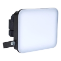 BRILAGI - LED-Strahler ELARA PRO LED/30W/230V IP65