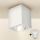 Brilagi - LED Strahler MIA 1xGU10/30W/230V 100x80 mm weiß