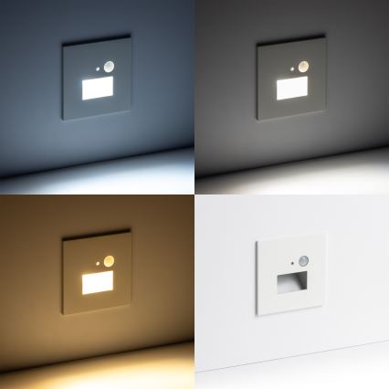 Brilagi - LED-Treppenleuchte mit Bewegungs- und Dämmerungssensor JACK LED/1,5W/230V 3000/4000/6500K weiß