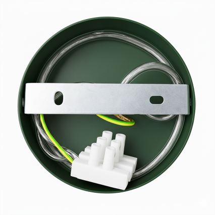 Brilagi - LED Wandleuchte FLAMENGO 1xE27/60W/230V grün