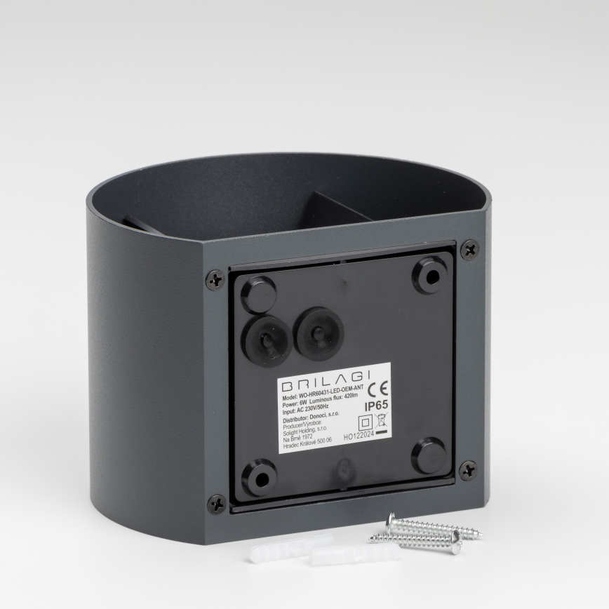 Brilagi - LED-Wandleuchte für den Außenbereich RONDO LED/6W/230V anthrazit IP54