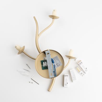 Brilagi - LED-Wandleuchte MISTEL 3xG9/3W/230V golden/weiß