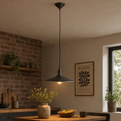 BRILAGI - Pendelleuchte an Drahtseil FORGE 1xE27/60W/230V Ø 36 cm, braun