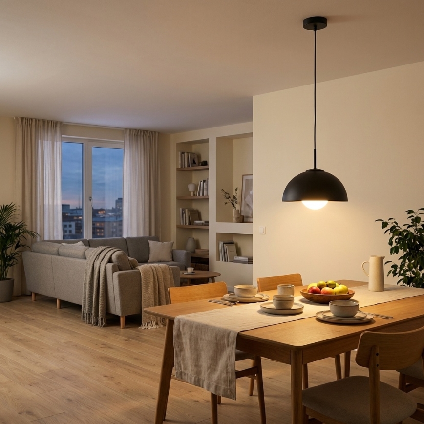 BRILAGI - Pendelleuchte an Kabel COSMO 1xE27/60W/230V Ø 30 cm schwarz