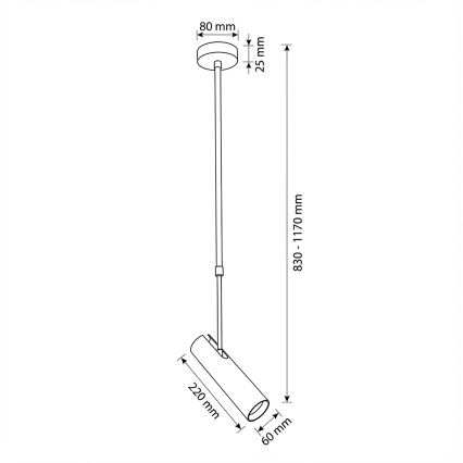 Brilagi - Pendelleuchte mit Stange SELE 1xGU10/30W/230V schwarz